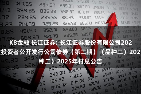 K8金融 长江证券: 长江证券股份有限公司2021年面向专业投资者公开发行公司债券（第二期）（品种二）2025年付息公告